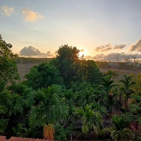 Kamanabillu Homestay, For Jog Falls Travellers Siddapur 외부 사진