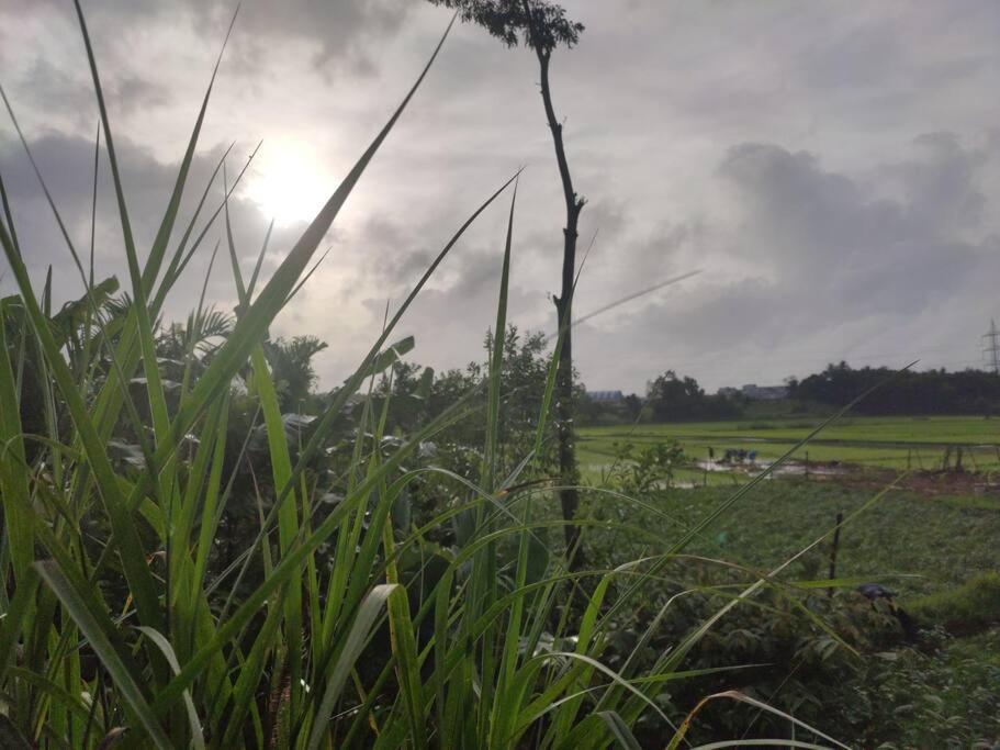 Kamanabillu Homestay, For Jog Falls Travellers Siddapur 외부 사진