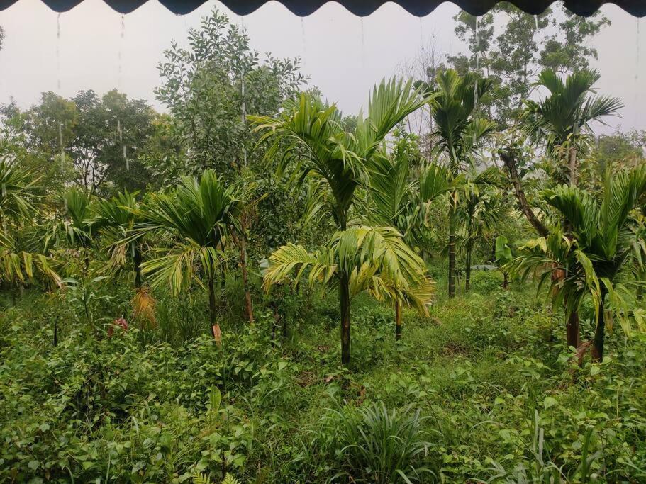 Kamanabillu Homestay, For Jog Falls Travellers Siddapur 외부 사진